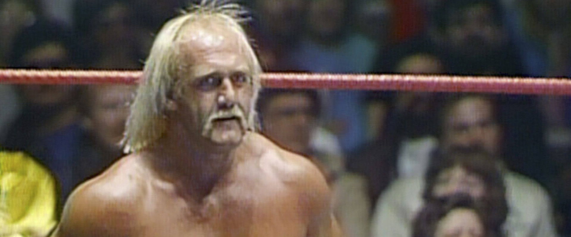 The Hulkster Hulk Hogan's banner image