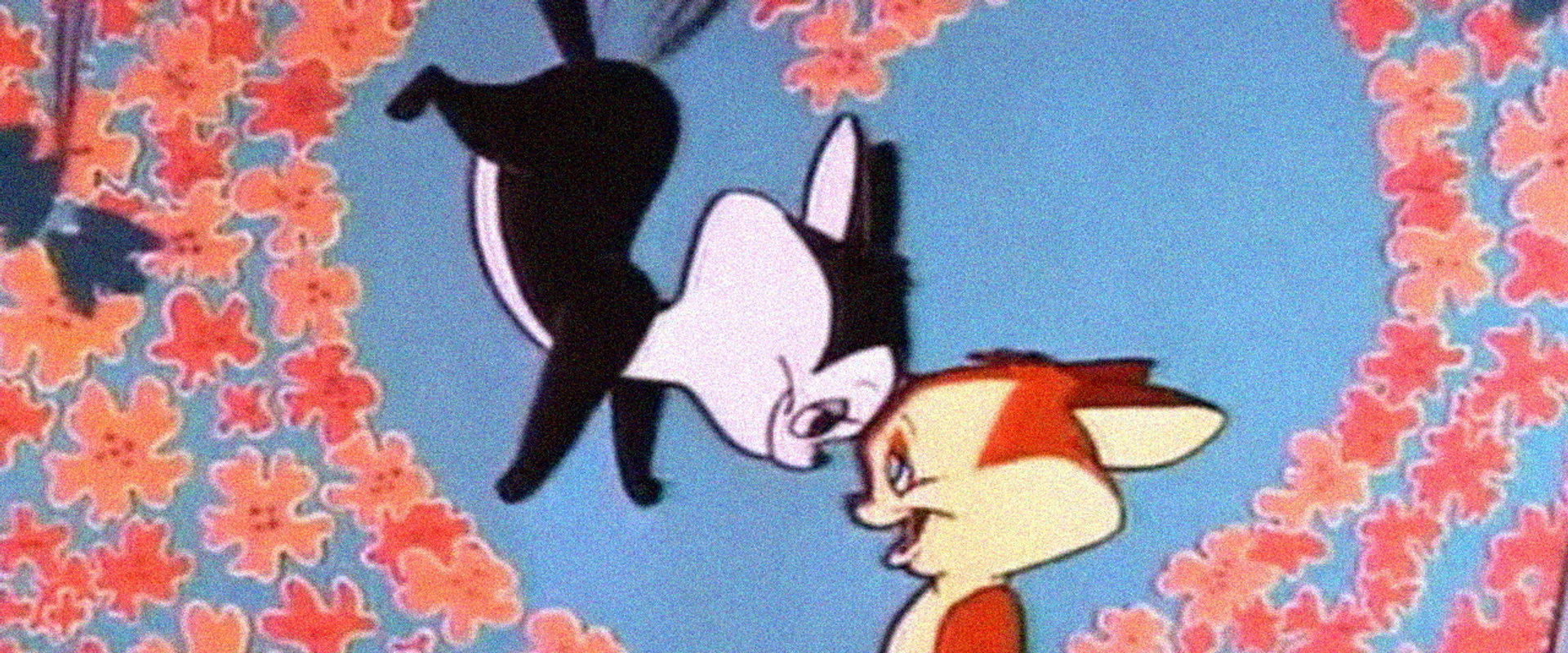 Go Fly a Kit's banner image