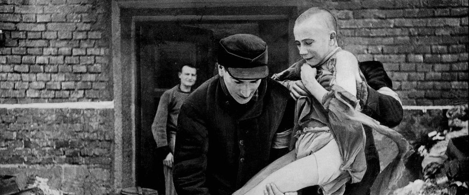 Auschwitz, les unités de la mort's banner image