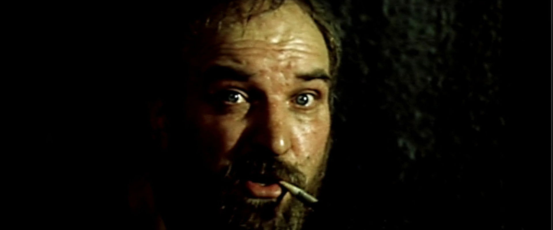 Without Sun's banner image