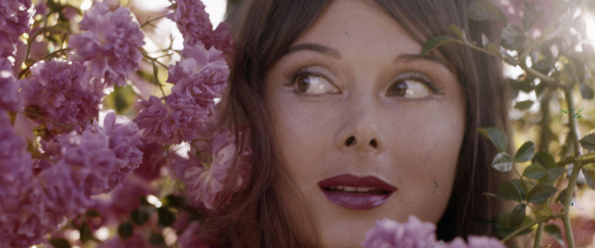 Chiamatemi Divina - Dorian Gray, storia di un'attrice dimenticata's banner image