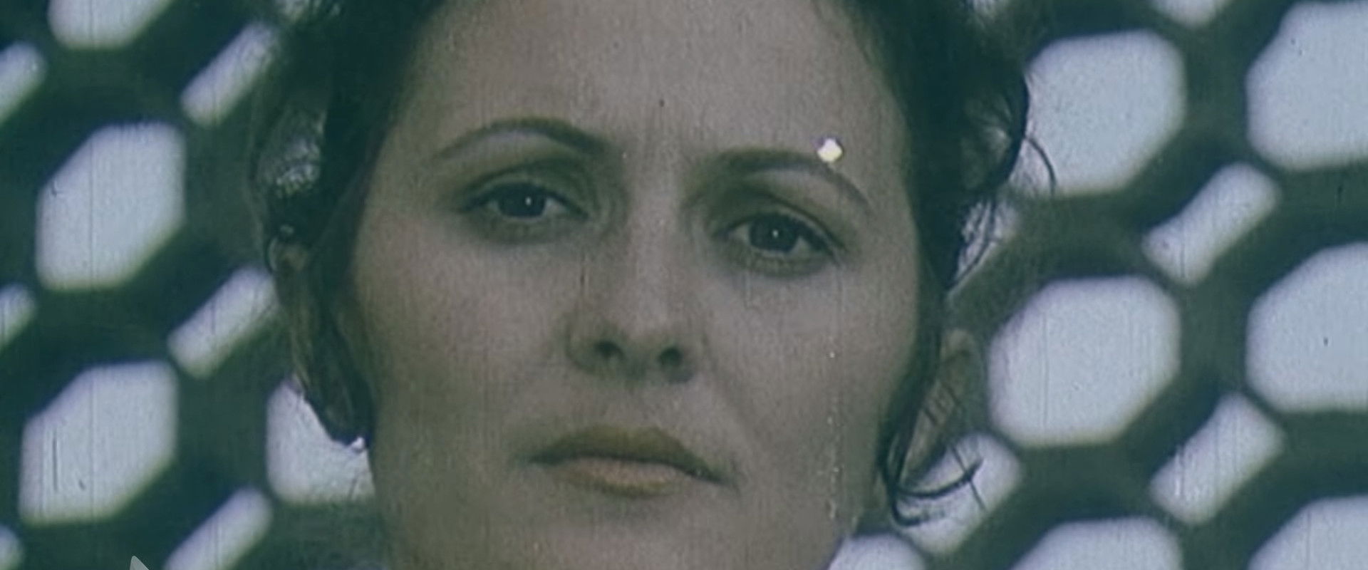 At Our Home's banner image