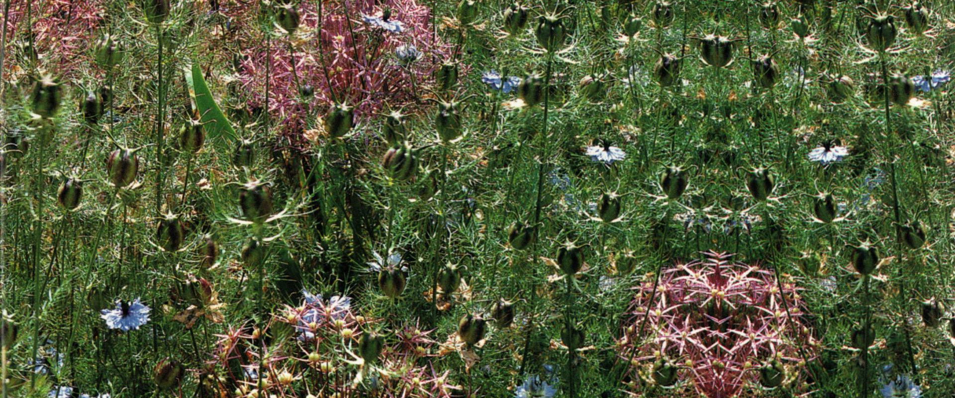 Gardens of the World with Audrey Hepburn