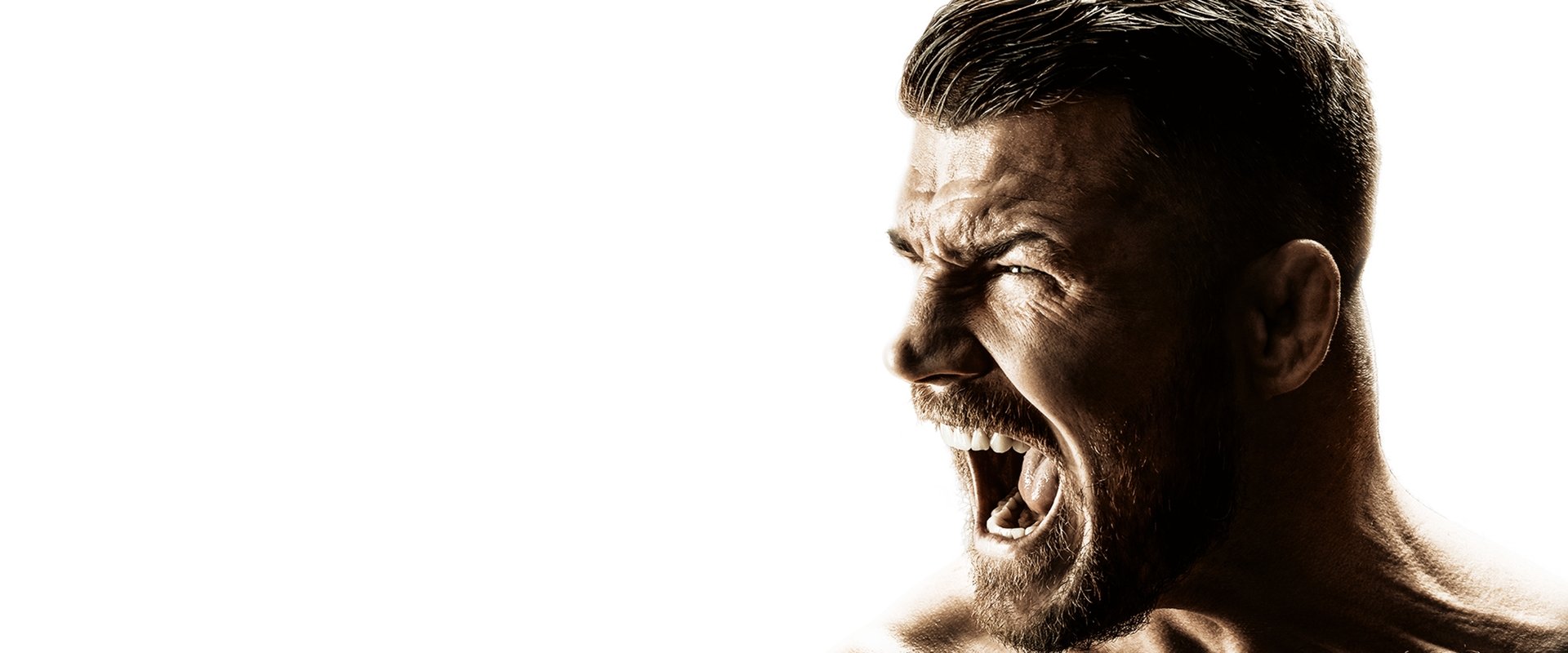 Bisping