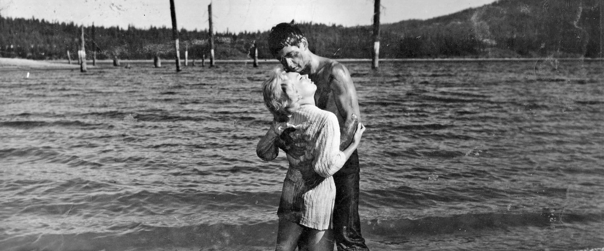 Honeymoon of Terror