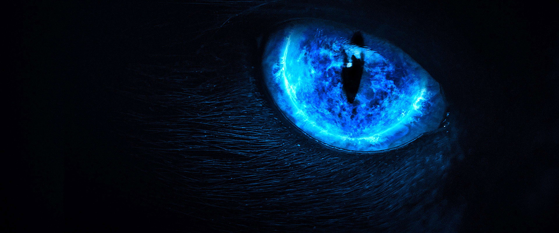 Eli Roth Presents: My Possessed Pet