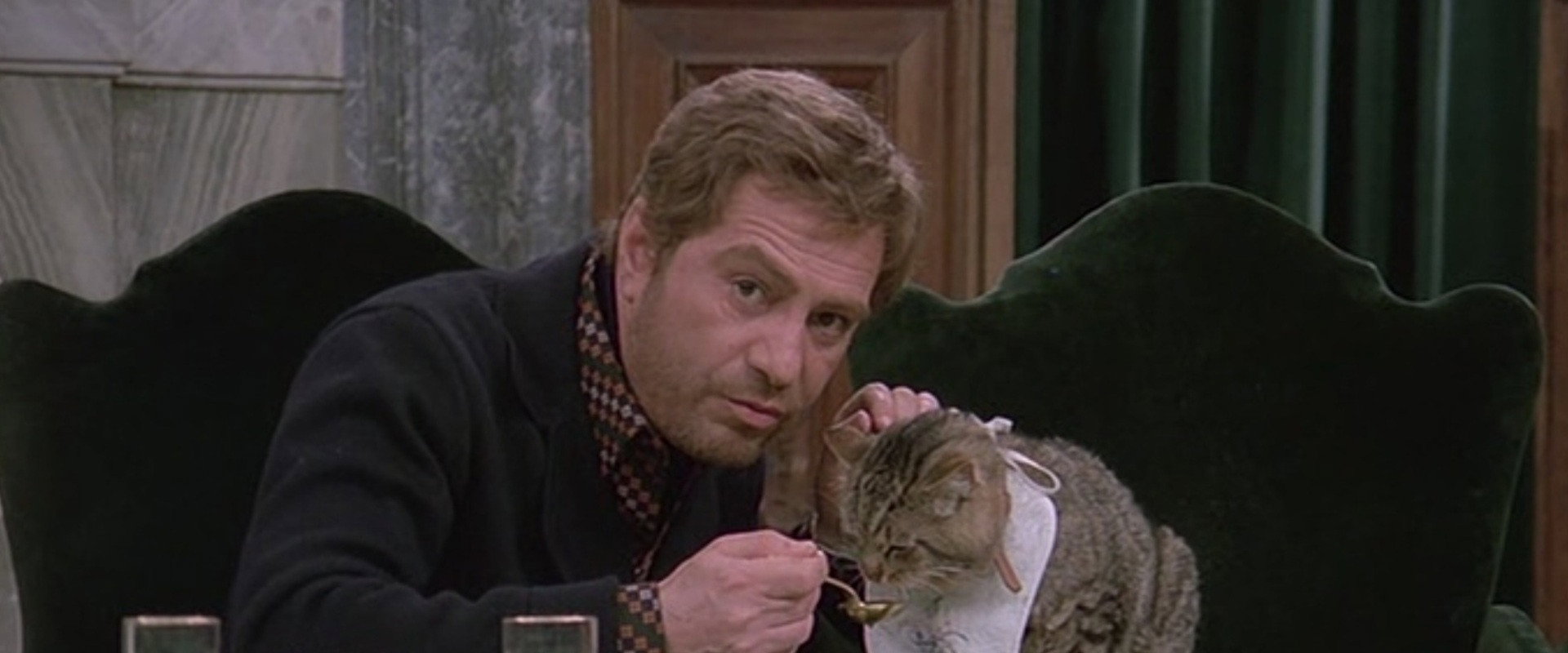 Eye of the Cat's banner image