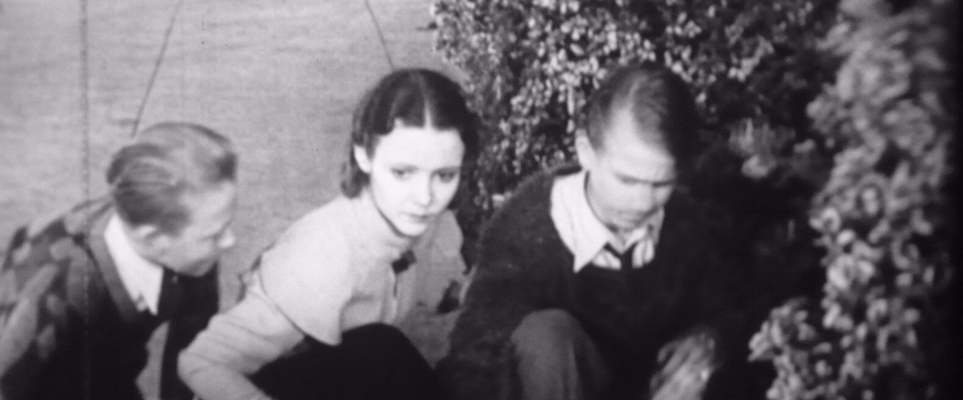 What's to Do?'s banner image