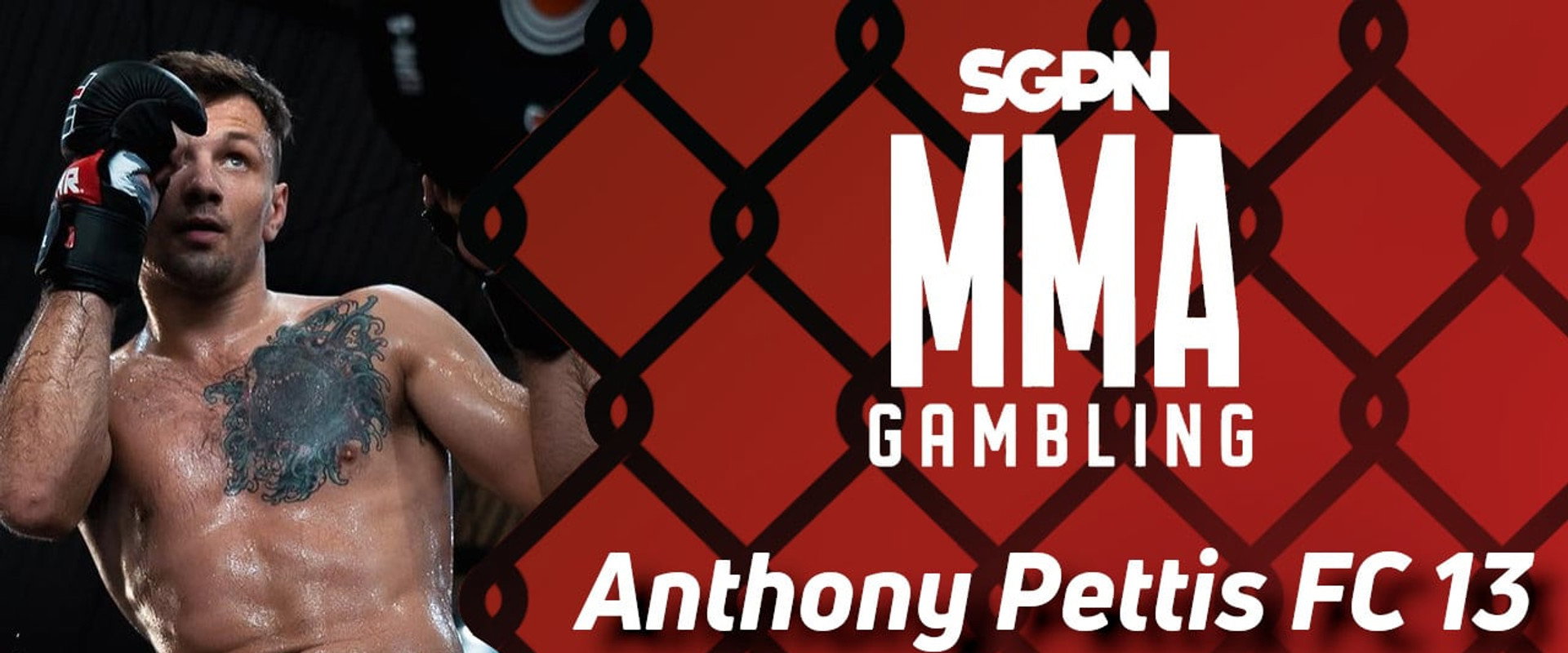 Anthony Pettis FC 13: Indiana Fight Night 4's banner image