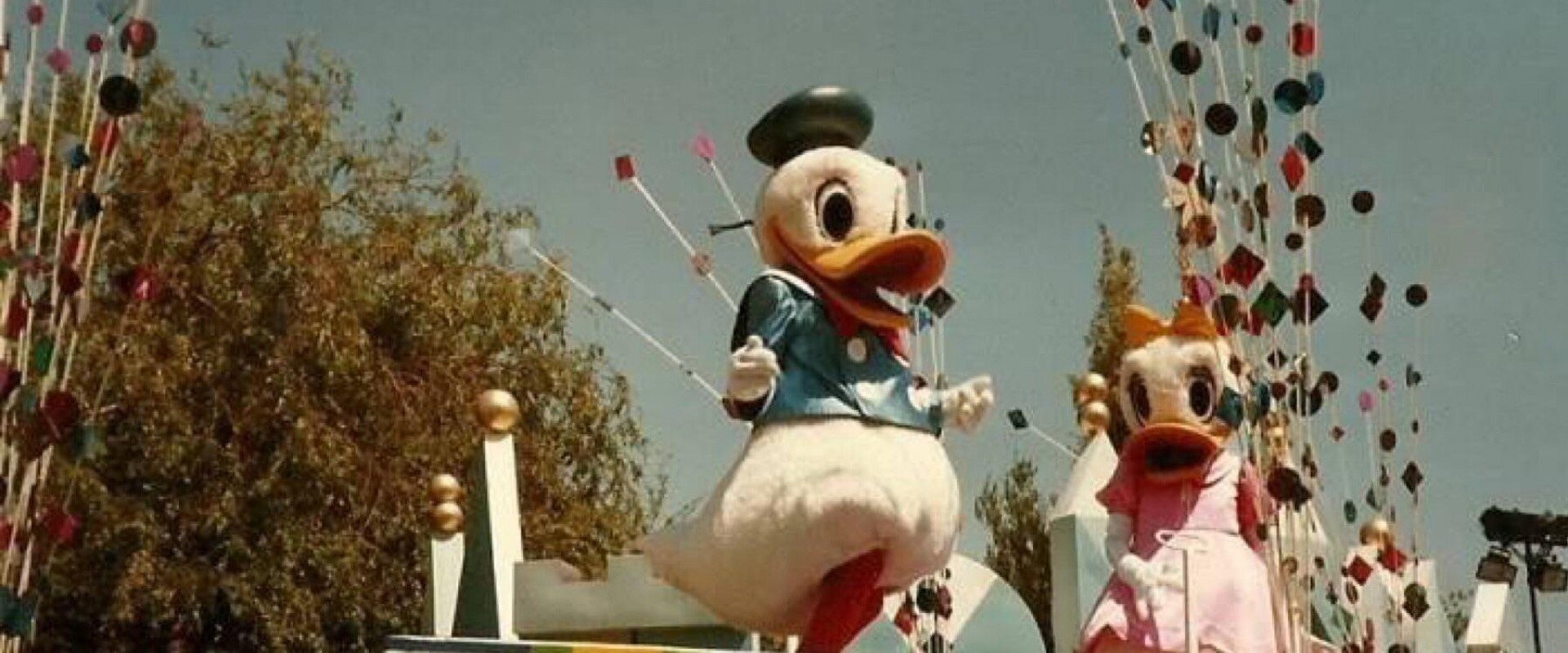 Donald Duck's 50th Birthday's banner image