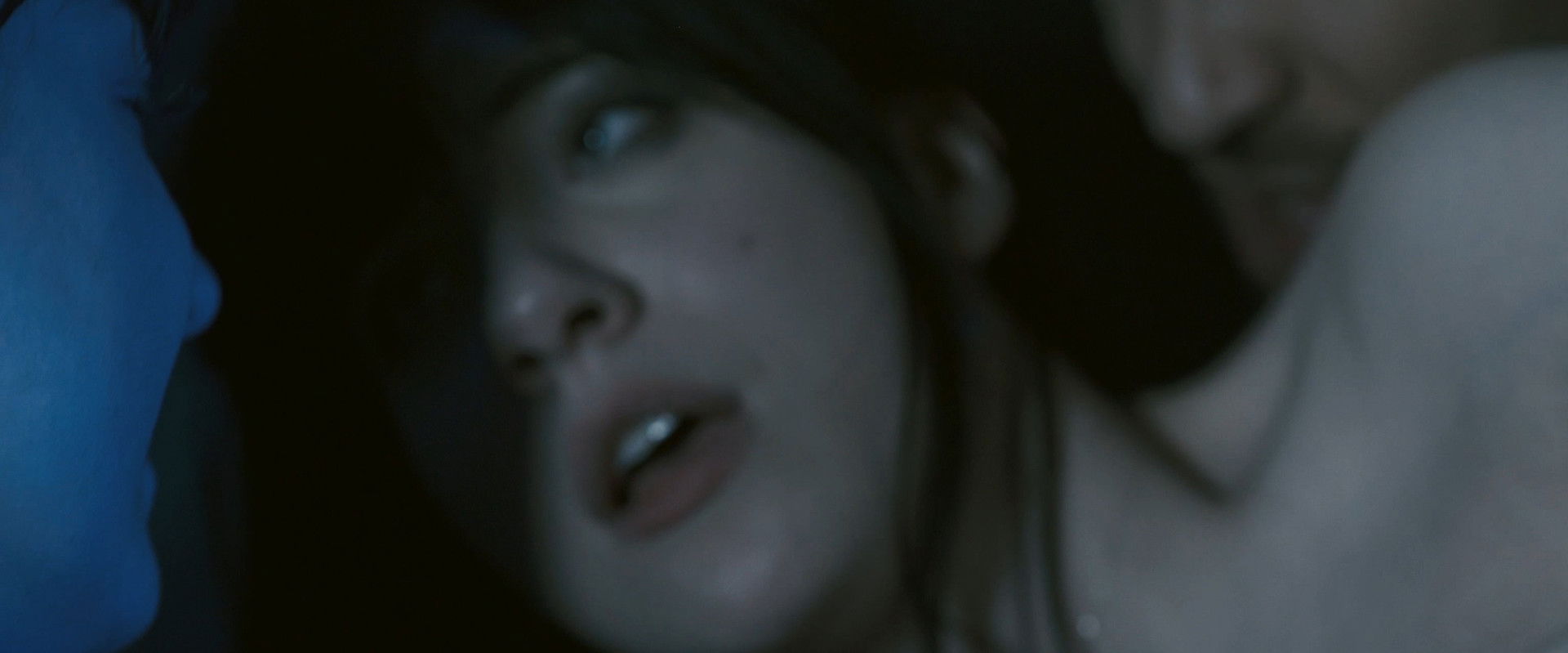 The Function of the Flesh's banner image