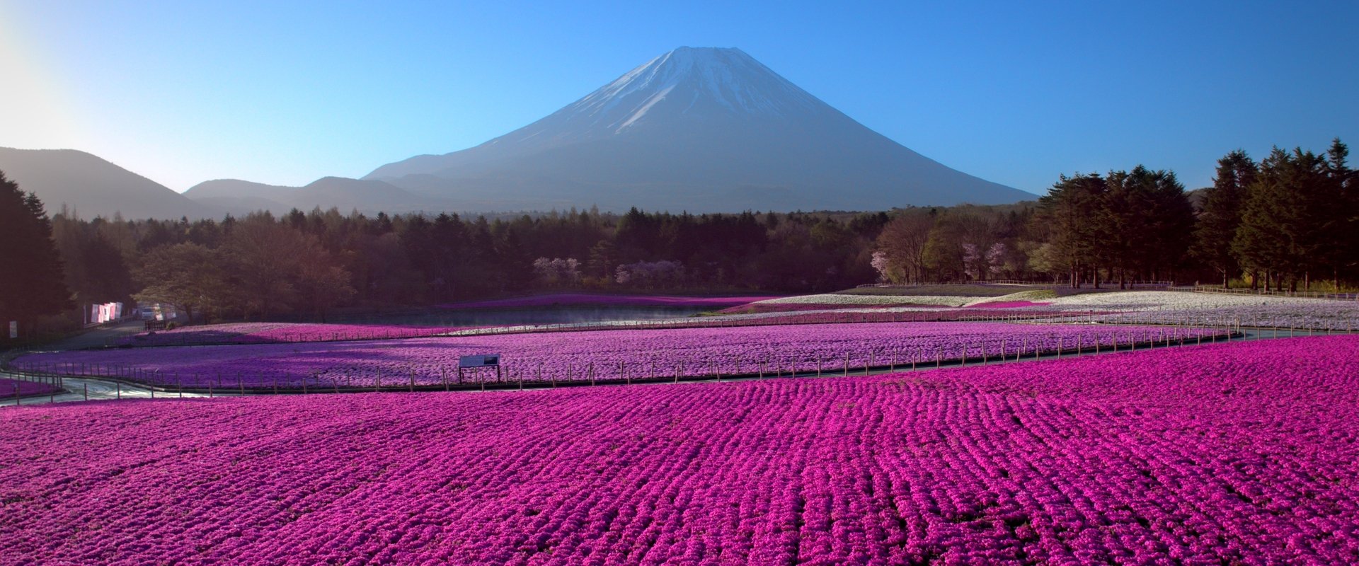 Japan from Above