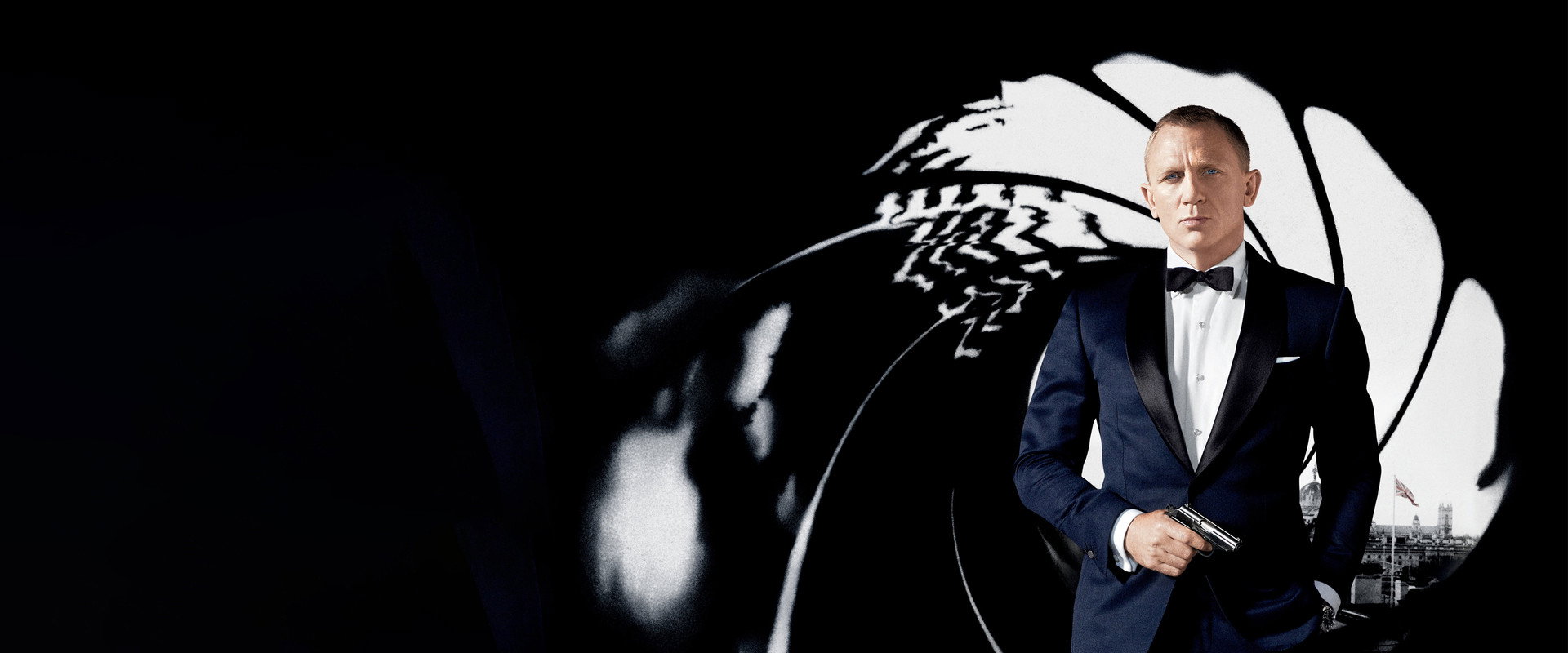 Skyfall's banner image