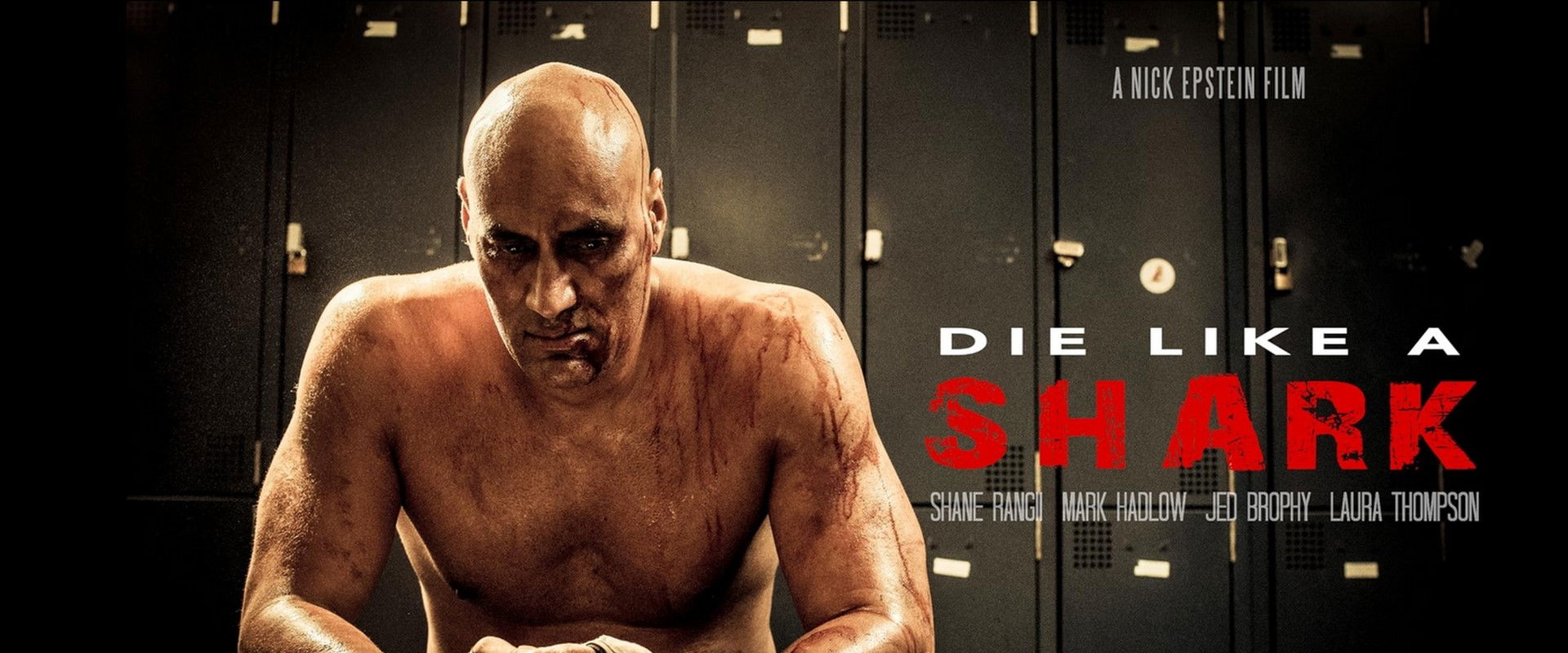 Die Like a Shark's banner image