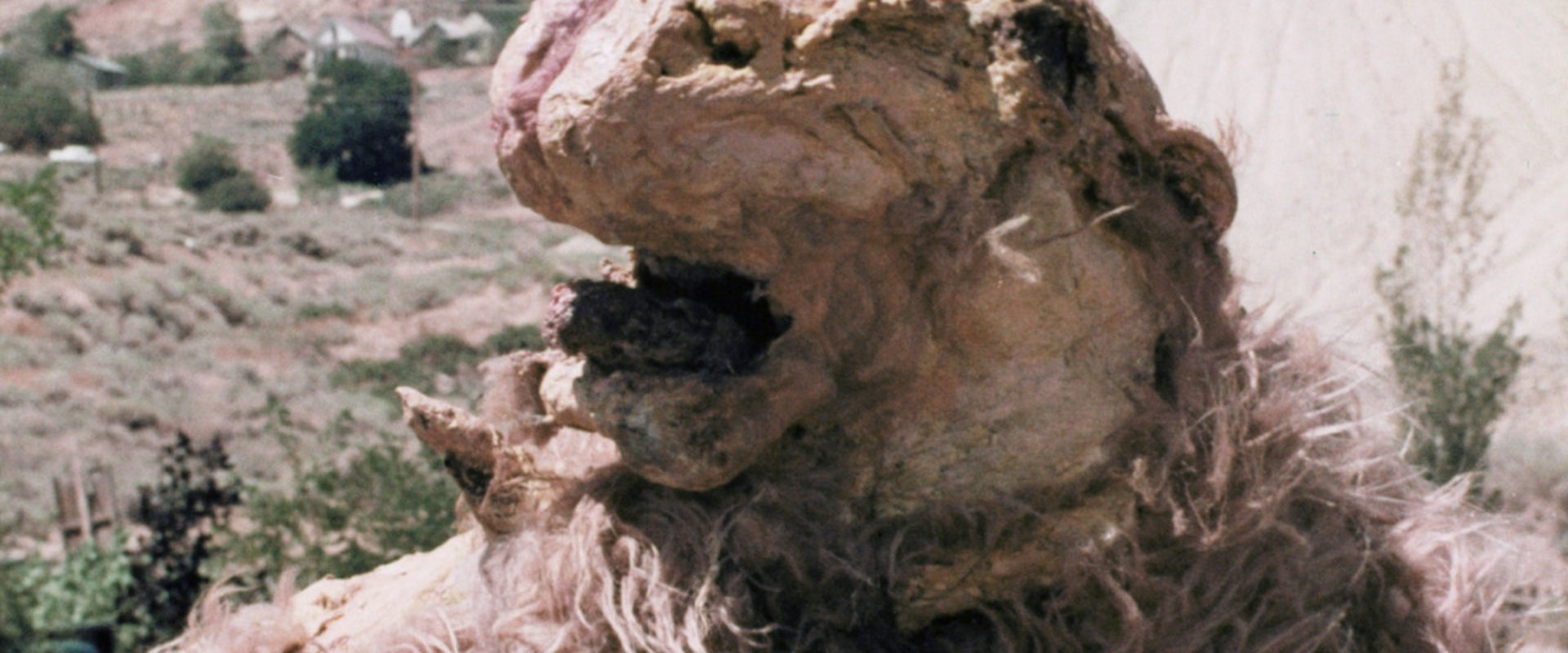 Godmonster of Indian Flats