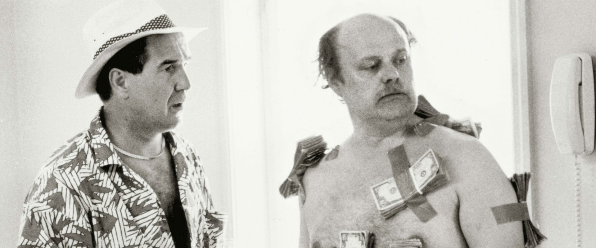 Paradise America's banner image