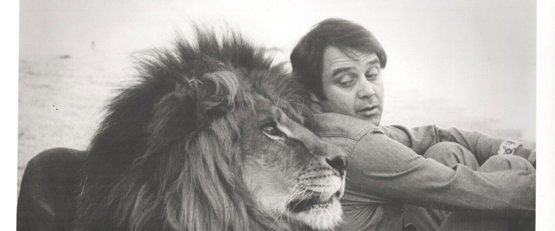 Frasier, the Sensuous Lion