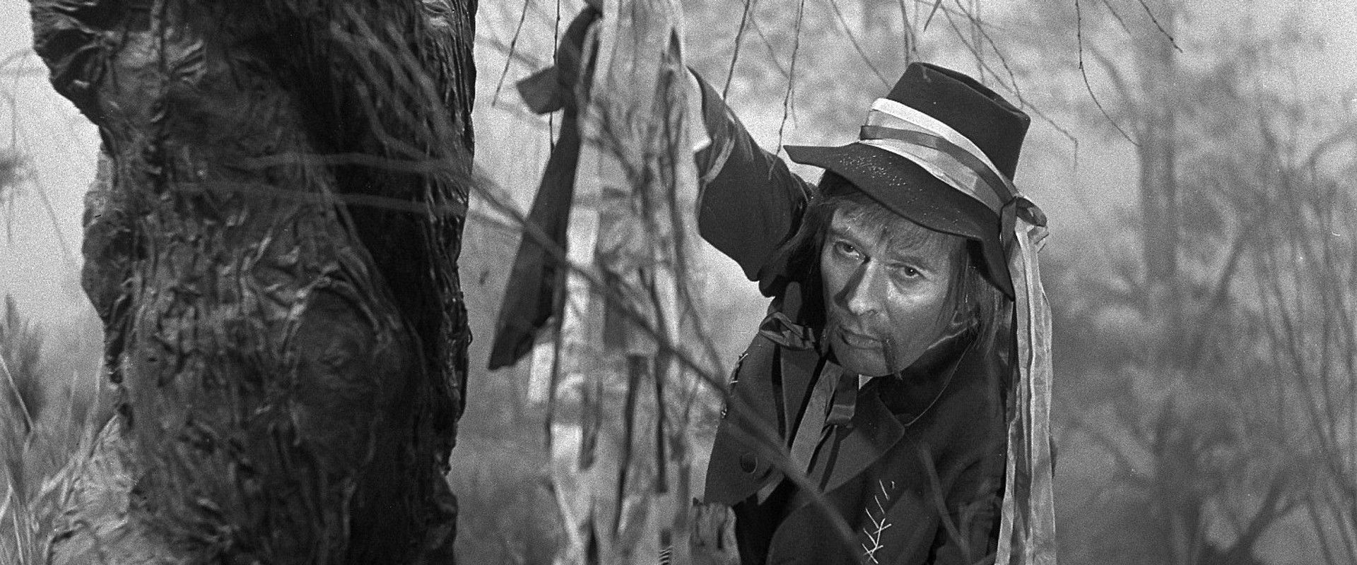 Jak se stal hastrman v Rokytnici ševcem's banner image