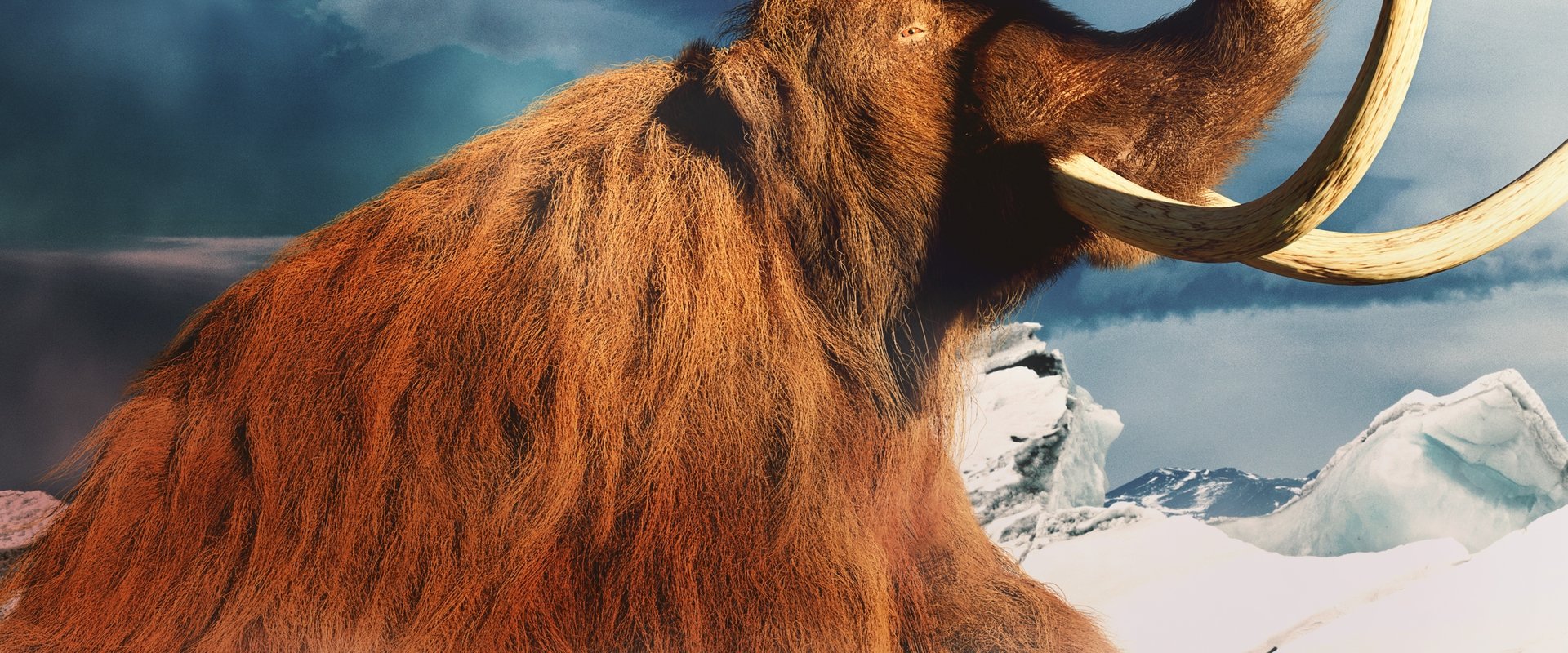 Mammoth Unearthed