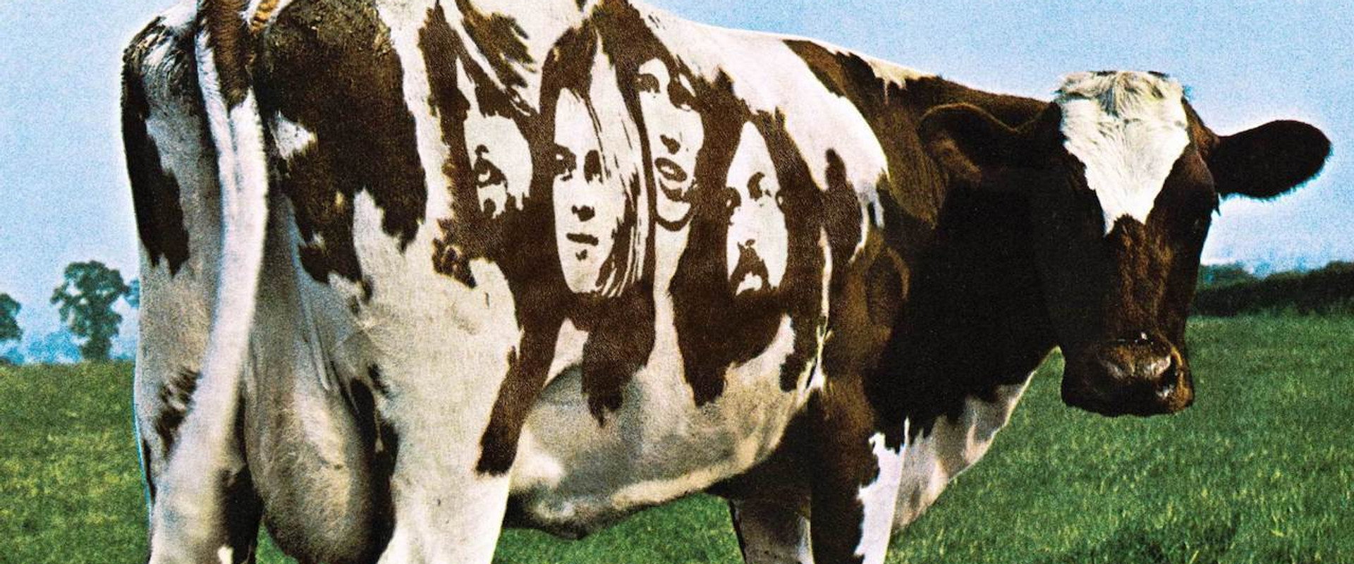 Pink Floyd - Atom Heart Mother's banner image