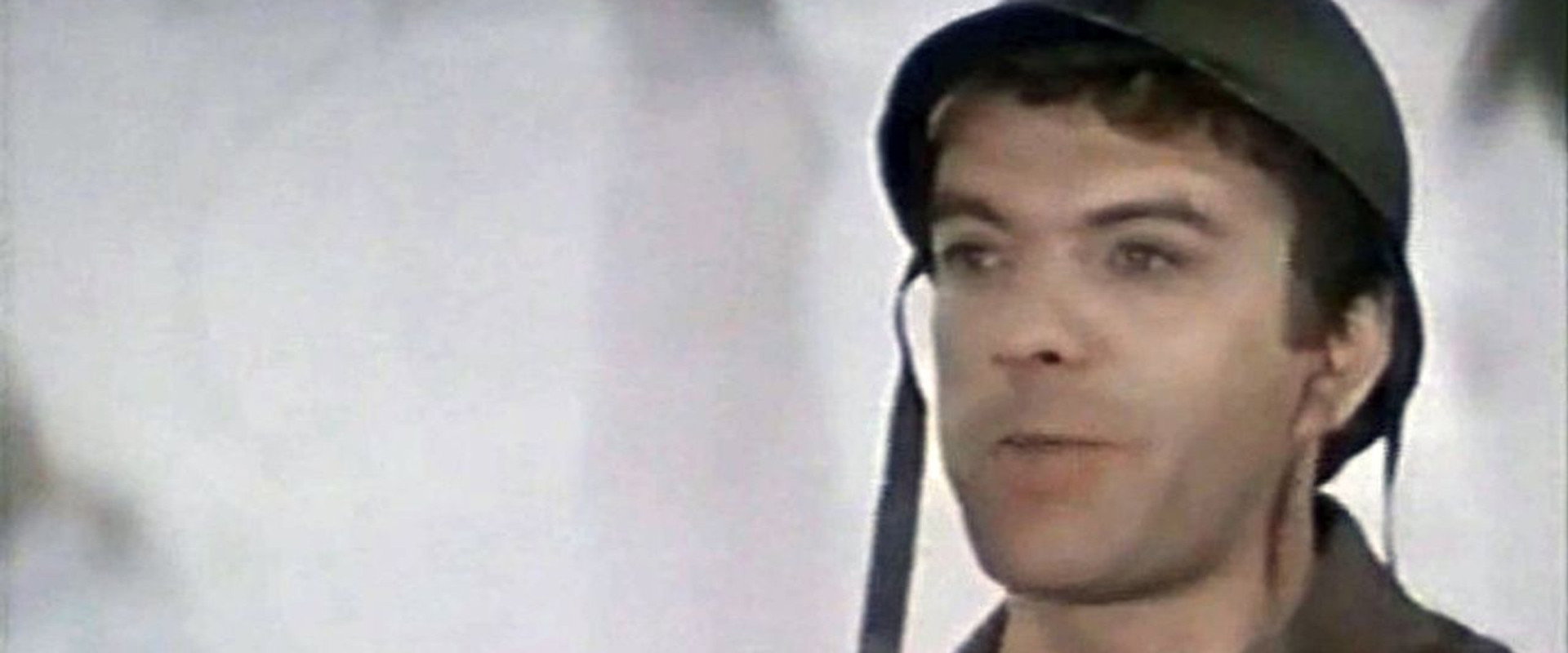 The Paradise Apples's banner image