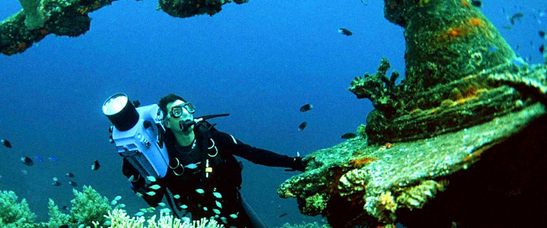 Pacific Abyss