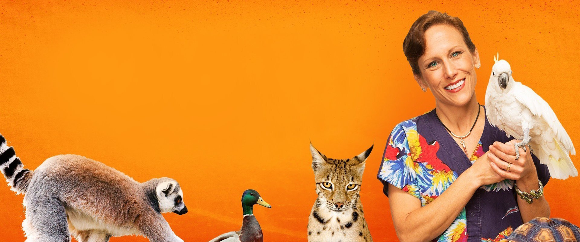 Dr. K's Exotic Animal ER