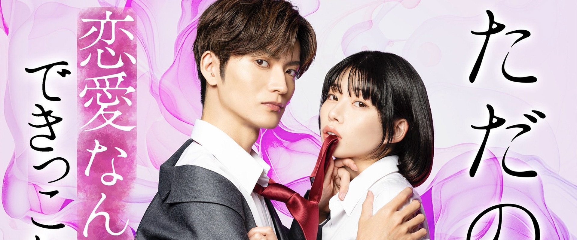 We Can't Do Just Plain Love's banner image