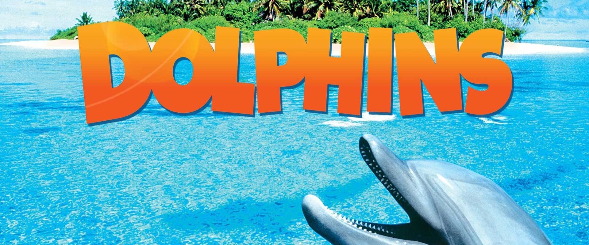 Dolphins