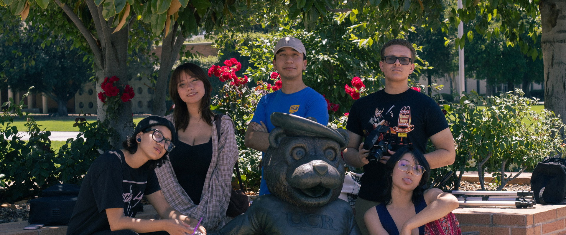 CACOPHONY's banner image