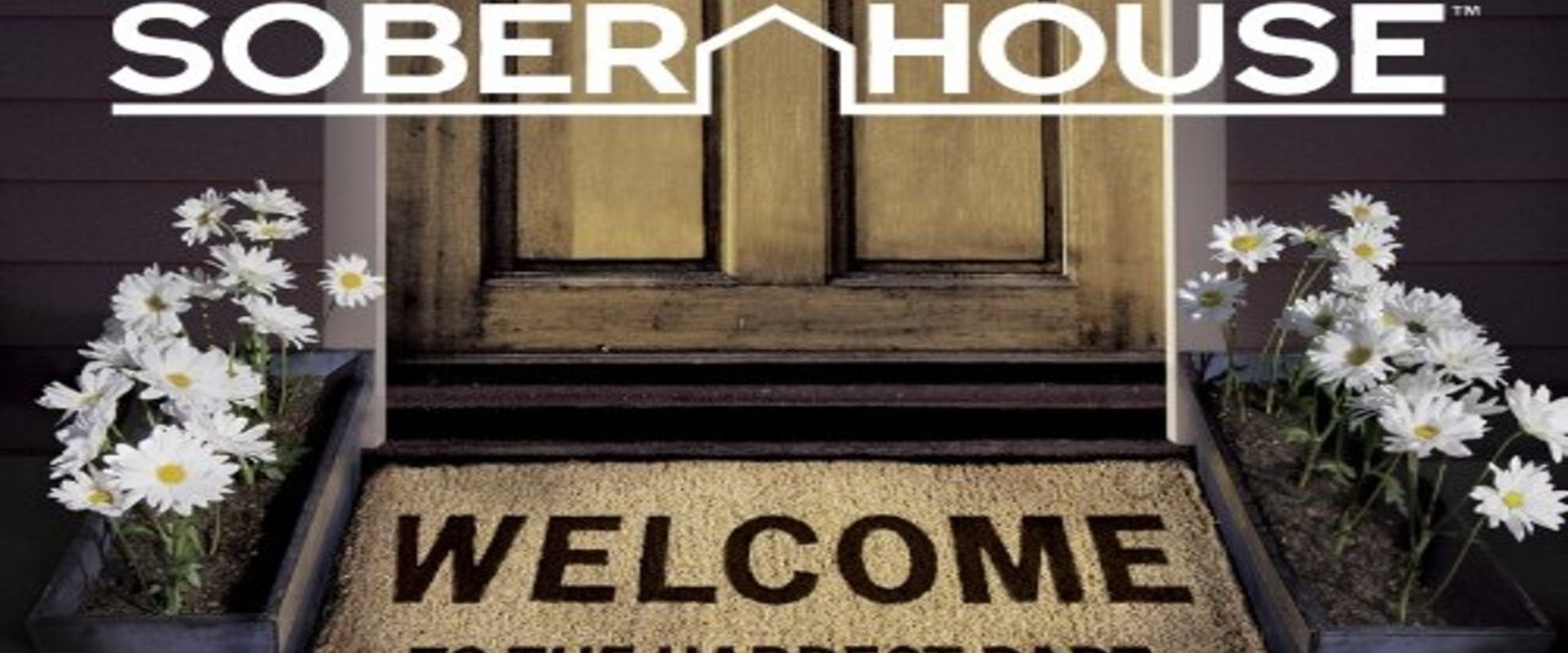 Celebrity Rehab Presents Sober House