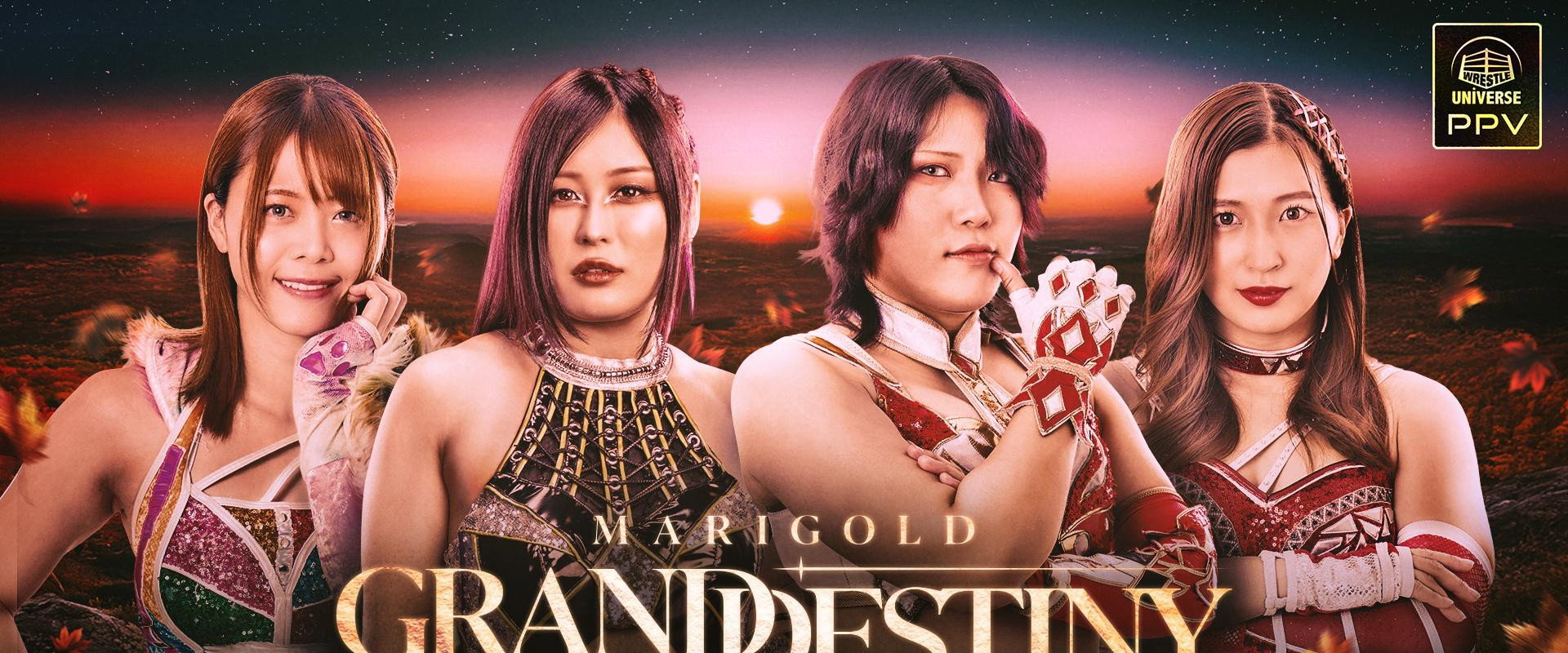 Marigold Grand Destiny 2025's banner image