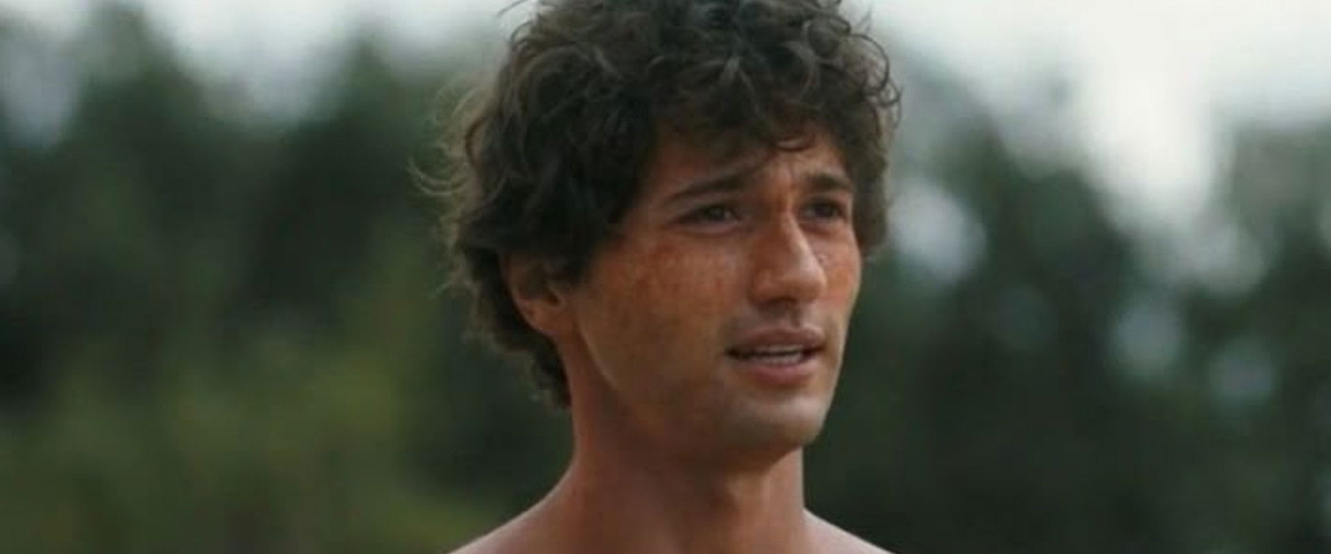 The Wilds's banner image