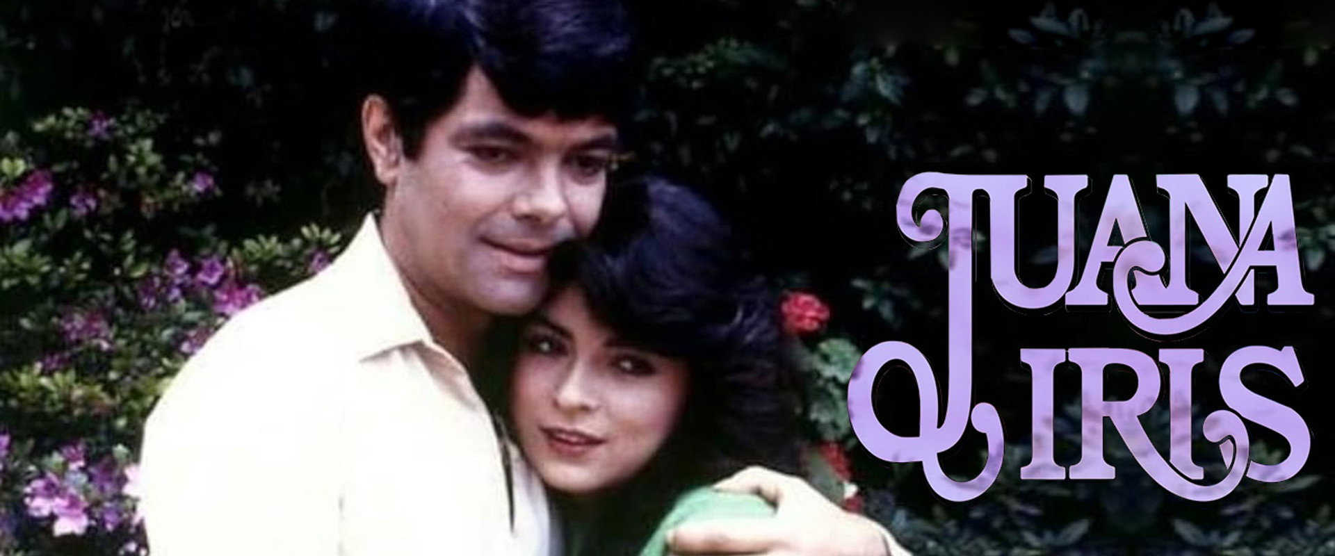 Juana Iris's banner image