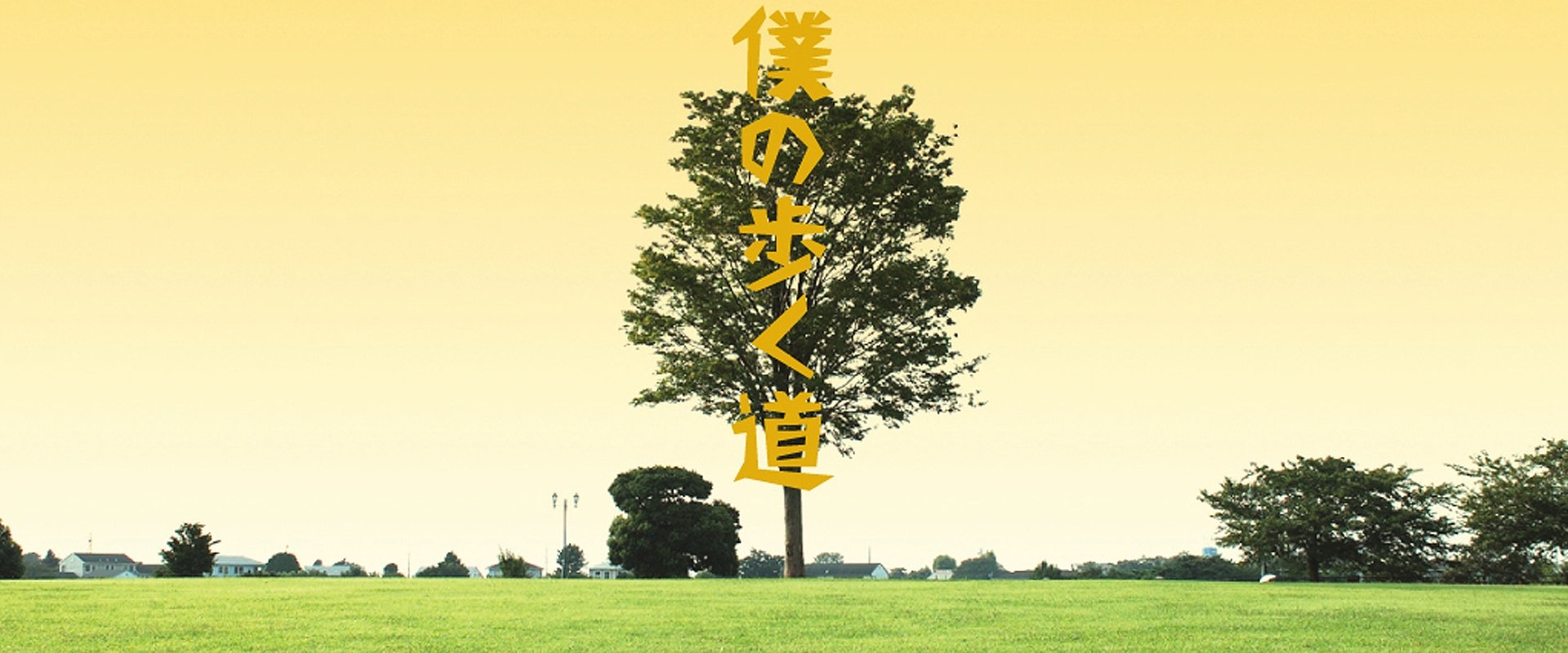 The Road I Choose to Walk