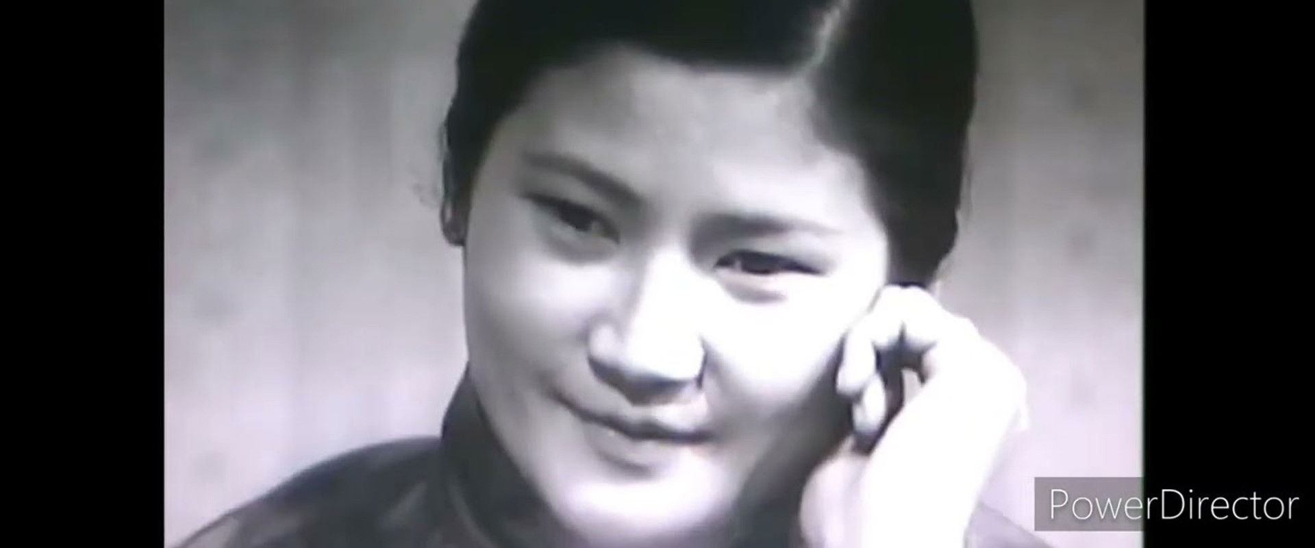 The Wings of the Earth's banner image