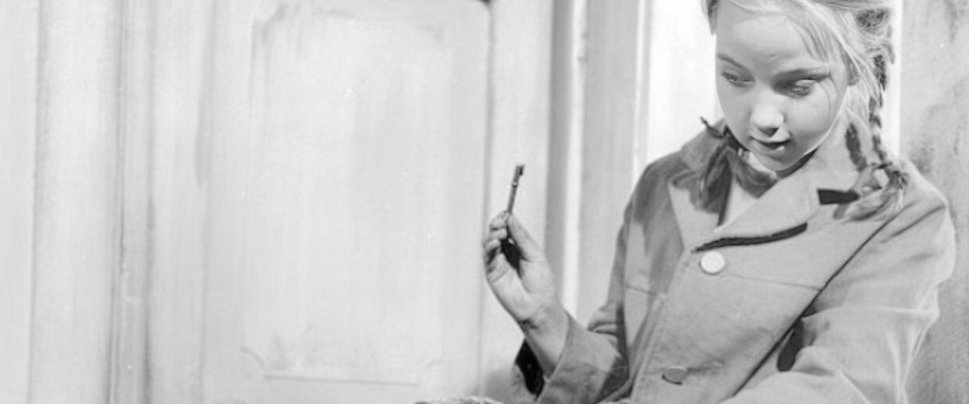 Owls in the Marsh's banner image