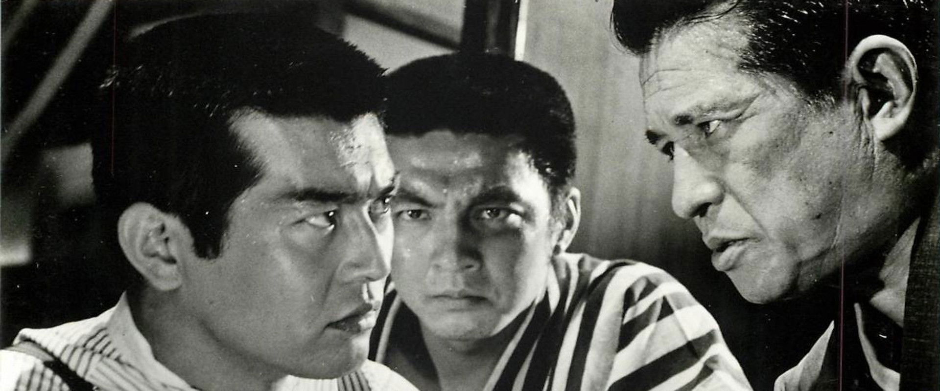 The Blossom and the Sword's banner image