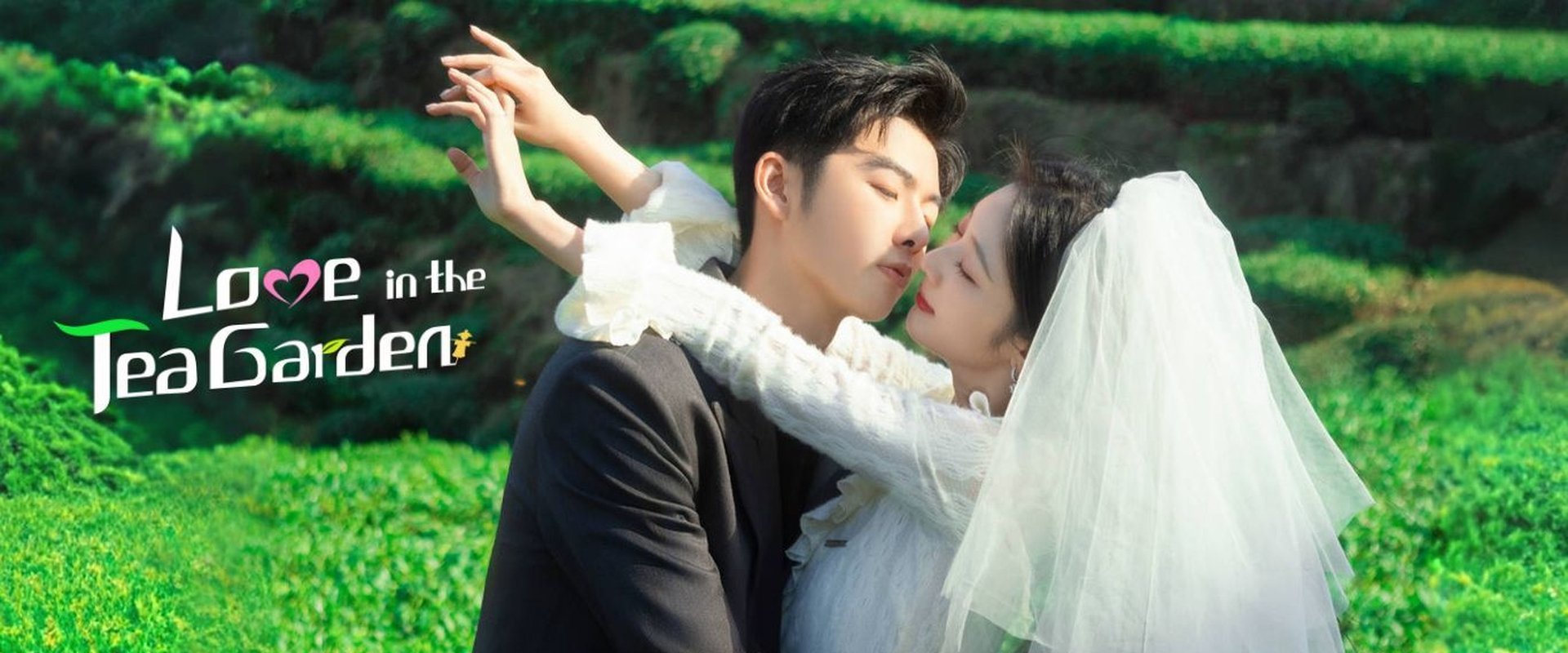 Love in the Tea Garden