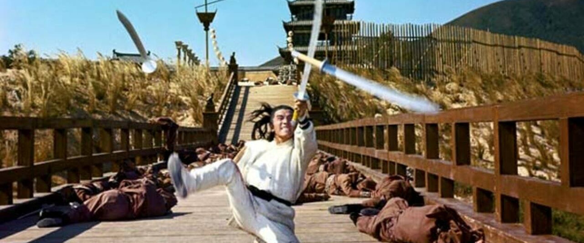 The New One-Armed Swordsman