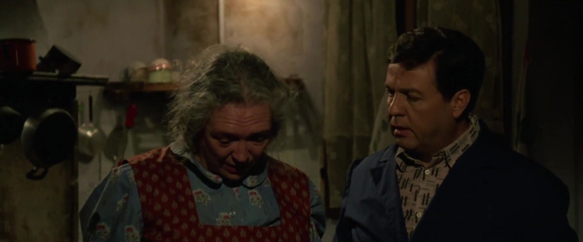 Burro's banner image