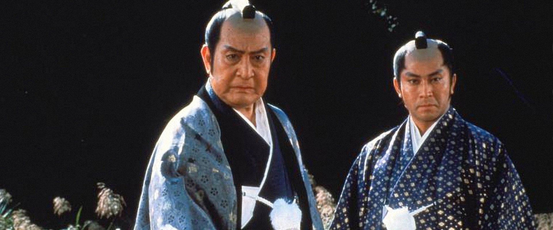 Tokugawa Chronicles: Ambition of the 3 Branches