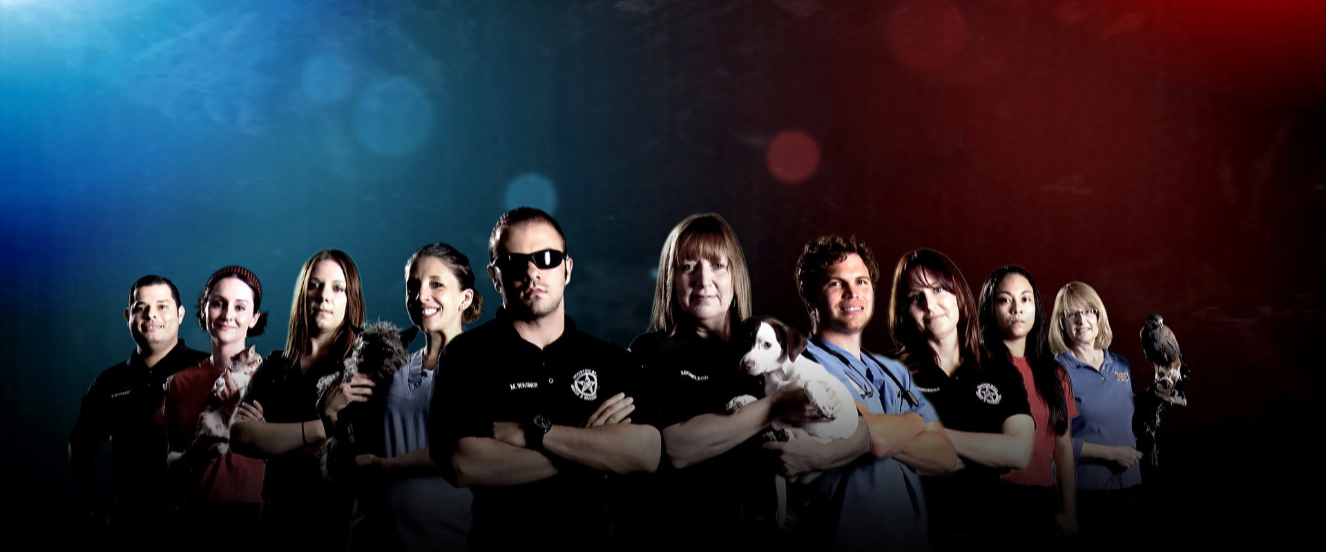 Animal Cops: Houston