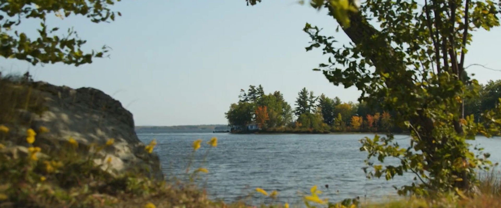 That Feeling, You Can Only Say What It Is In French's banner image