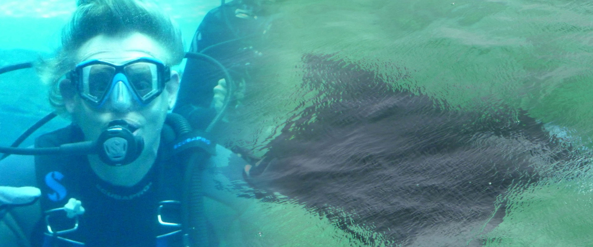 Martin Clunes: Man to Manta's banner image