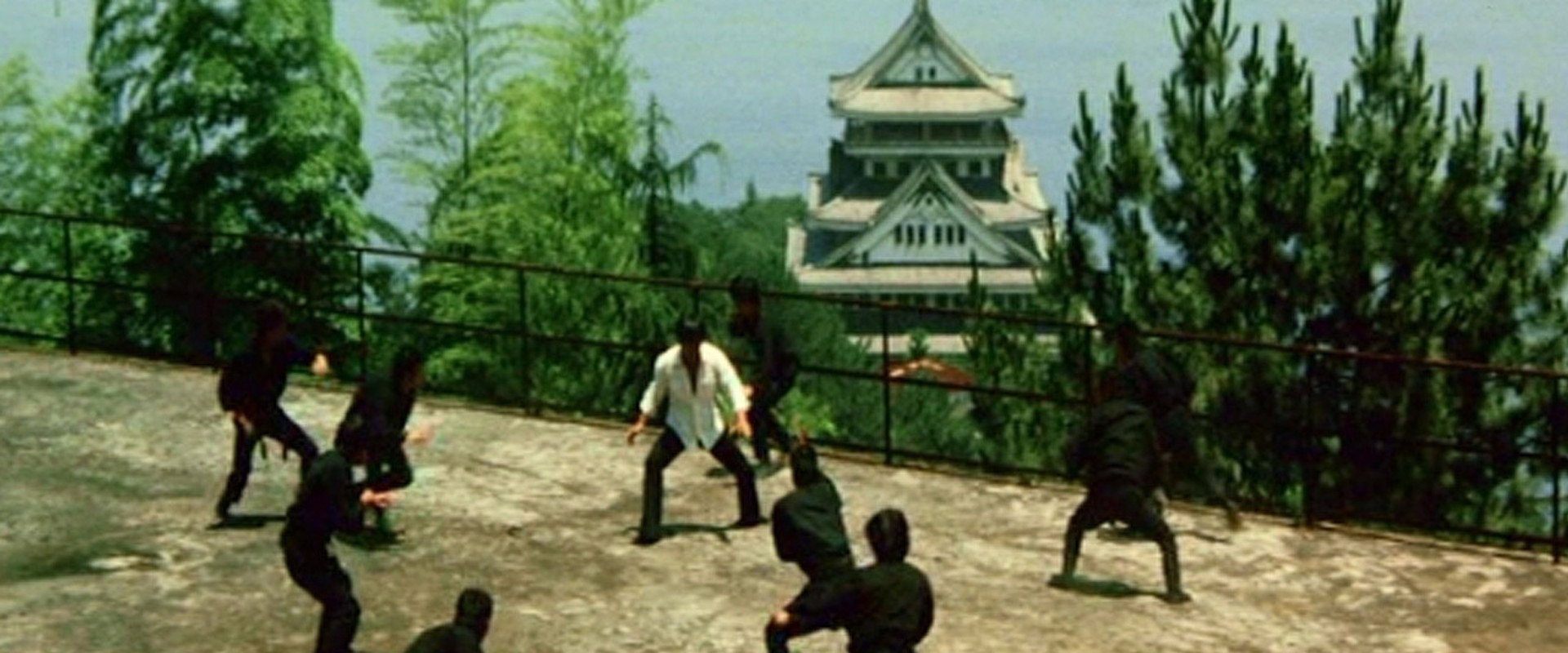 武闘拳　猛虎激殺！