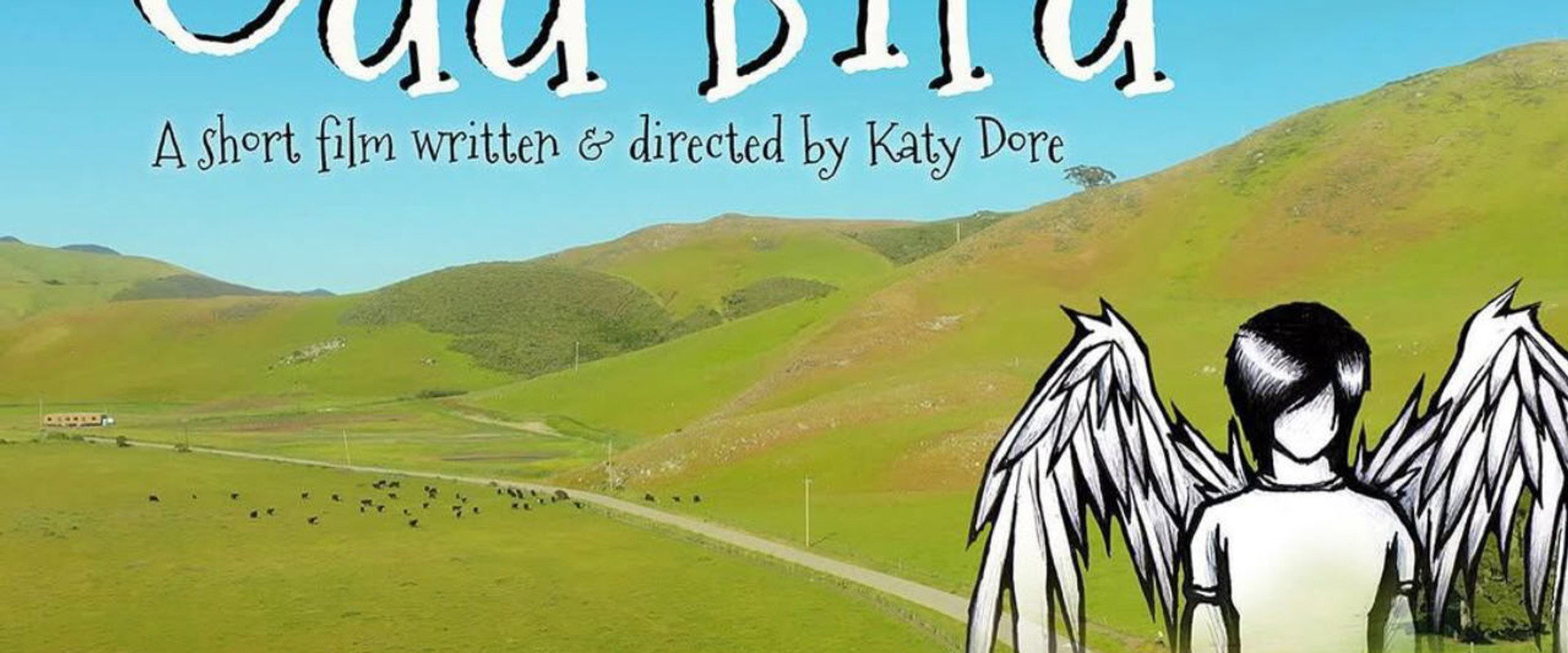 Odd Bird's banner image