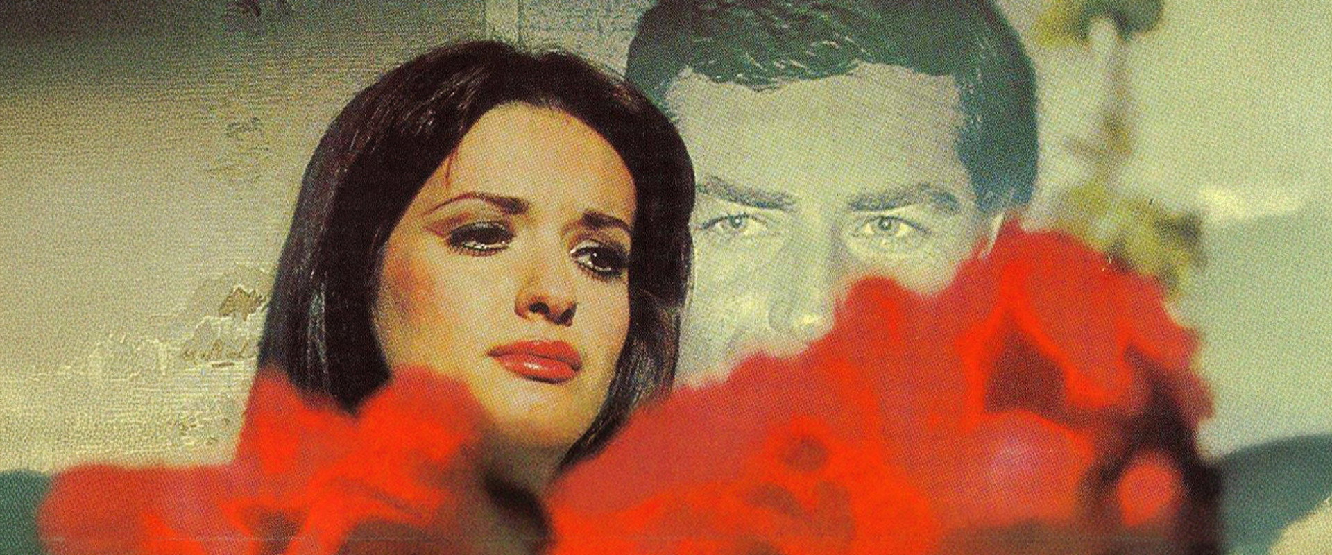 Deli Gibi Sevdim's banner image