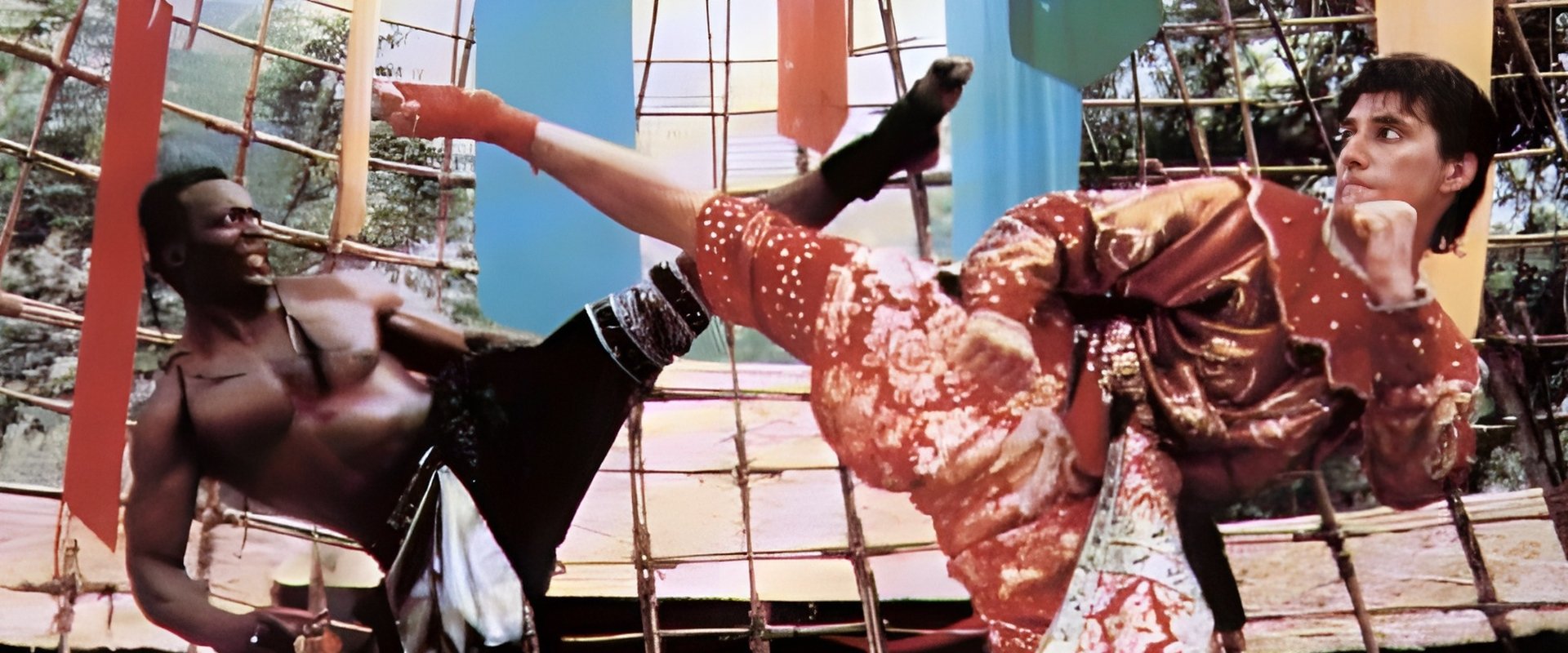 The King of the Kickboxers