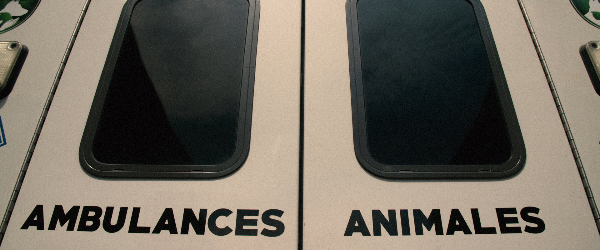 Ambulances animales
